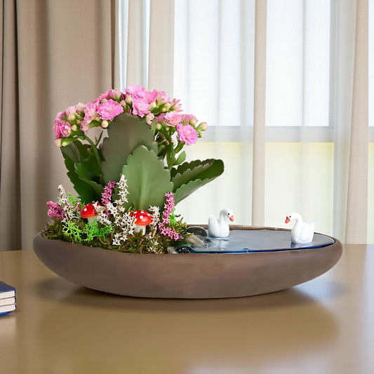 Saksıda Pembe Kalanchoe Teraryum