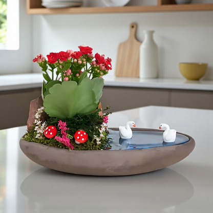 Saksıda Kırmızı Kalanchoe Teraryum