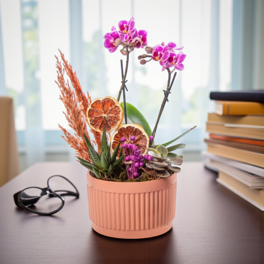Terra Duo – Mini Mor Orkide