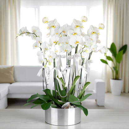 8 Dal Beyaz Orkide Aranjmanı